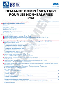 CERFA 13882-03 : RSA, la demande complémentaire pour un non-salarié
