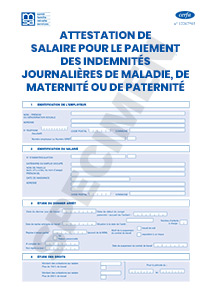 CERFA 12002-06 : Attestation de salaire pour le paiement des indemnités journalières de maladie, de maternité ou de paternité