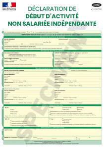 CERFA 11921-03 : Déclaration de début d'activité non salariée indépendante