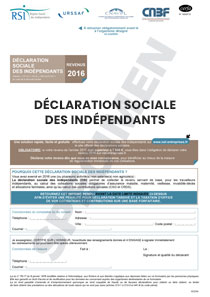 CERFA 10020-21 : Déclaration des Indépendants - Revenus 2016