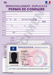 CERFA 19948-06 / 14882-01 : Formulaire Permis de conduire
