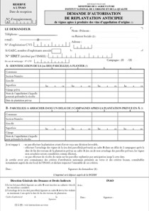 CERFA 14573-03 : Autorisation pour la replantation de vignes en vue d'une production d'Appellation d'Origine ( AO )