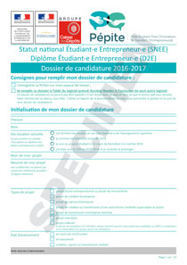 Dossier de candidature 2016-2017 Pépite SNEE et D2E