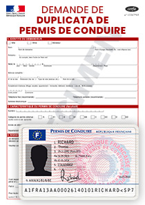 CERFA 14074-02 : Demande de duplicata de permis de conduire