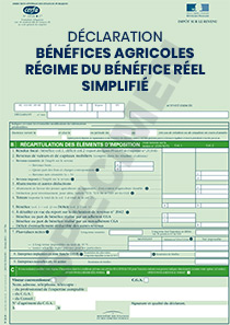 CERFA 11144-17 : Déclaration 2139 bénéfices agricoles régime du bénéfice réel simplifié