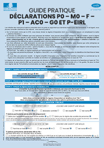 CERFA 50813-03 Notice 974 SD Guide pour remplir la rubrique fiscale des déclarations P0, M0, F, P1, AC0, G0 et P-EIRL